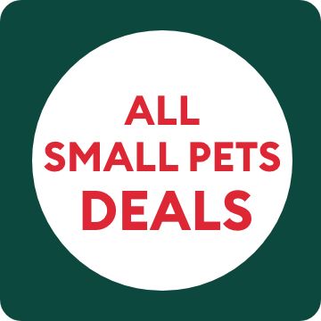 All small pet deals text