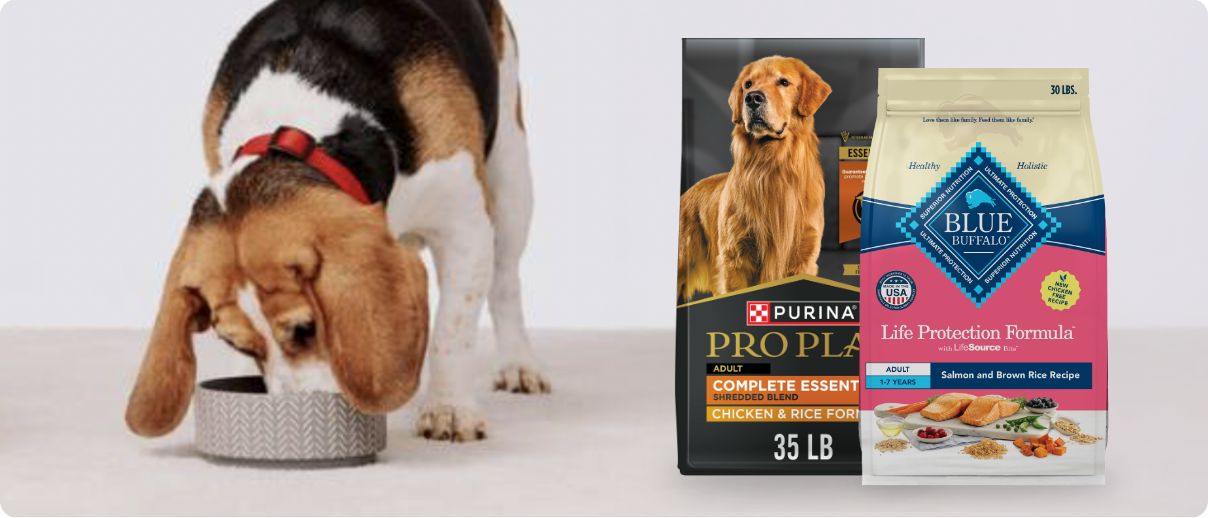 Dog eating out of a bowl and two bags of dog food