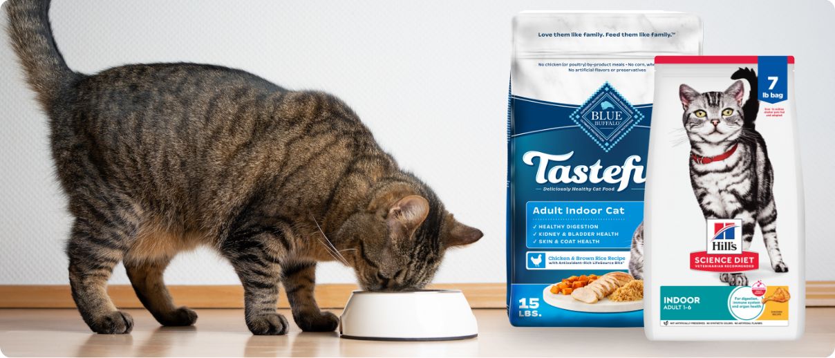 A cat eating out of a bowl and two bags of cat food