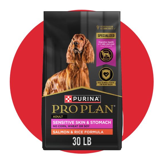 Purina Pro Plan dog food