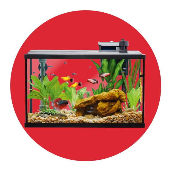 Aquarium