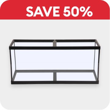 Save 50% callout & an open-glass aquarium