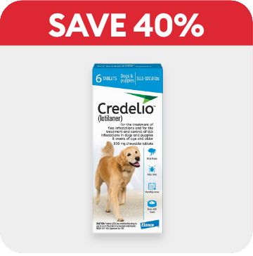 Save 40% callout & Credelio Flea & Tick Chewable Tablets