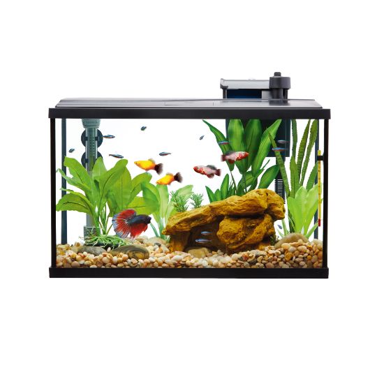 Fish Tank