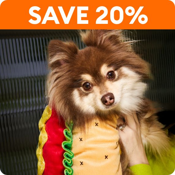 Dog in a hot dog costume