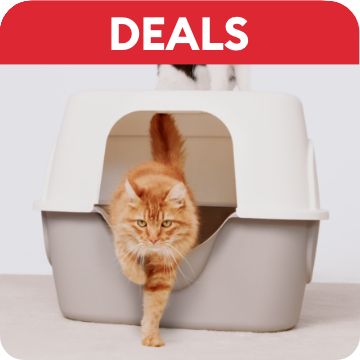 Litter  Accessories