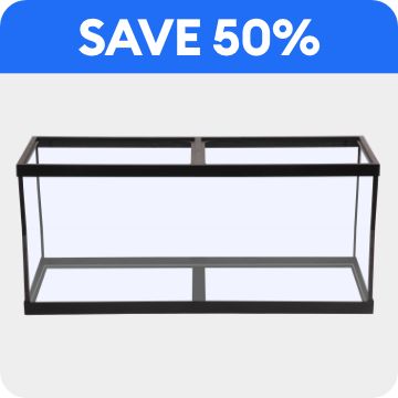 Open-glass aquarium & save 50% callout