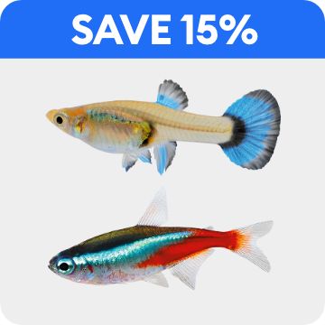 Two fish & save 15% callout