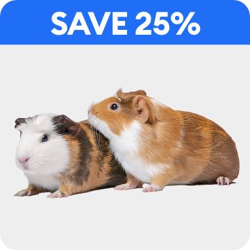 Full Cheeks Comfy Home & Hideaway Habitat and save 40% callout