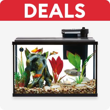 Deals callout & a fish tank
