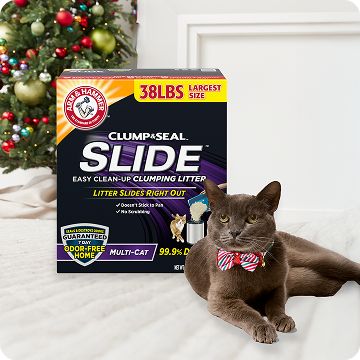 Cat laying next to a box of litter