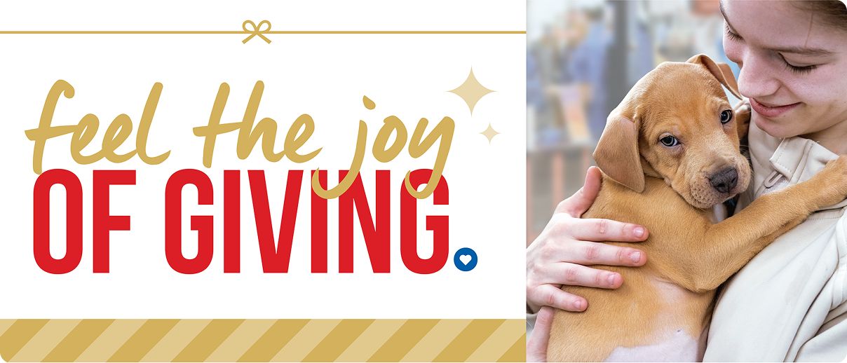 Feel the joy of giving message & a woman holding a puppy