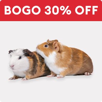 BOGO 30% OFF text and 2 guinea pigs