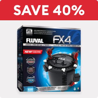Save 40% and a Fluval canister filter