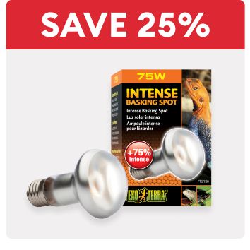 Save 25% text and a basking light