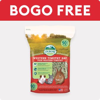 BOGO FREE text and Oxbow western timothy hay