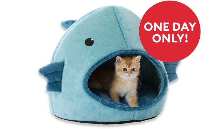 Whisker City Fish Character Hut Cat Bed