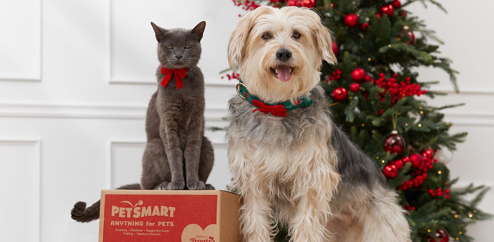 Cat with a red bow & a dog wearing a festive collar pose beside a PetSmart box in front of a Christmas tree