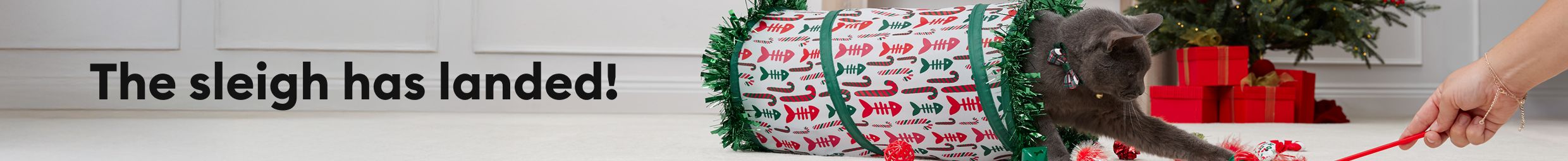 The sleigh has landed message & a cat in a festive tunnel playing with a pet parent