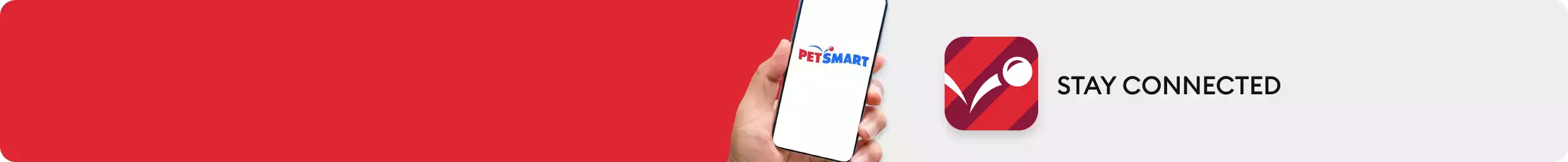 Mobile phone in a hand and the app icon with the message, Stay Connected