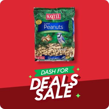 Parrot food suppliers best sale