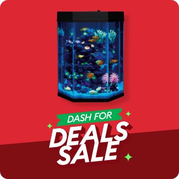 Petsmart fish deals best sale