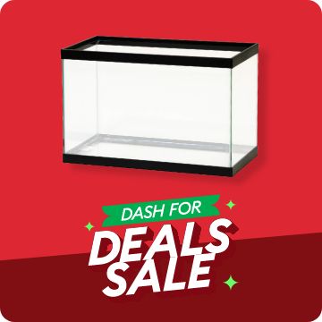 Dash for Deals text; open-glass aquarium