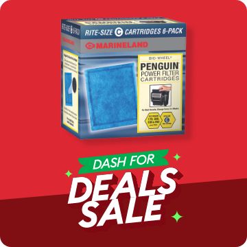 Dash for Deals text; aquatic media