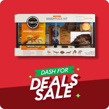 Dash for Deals text; starter kit