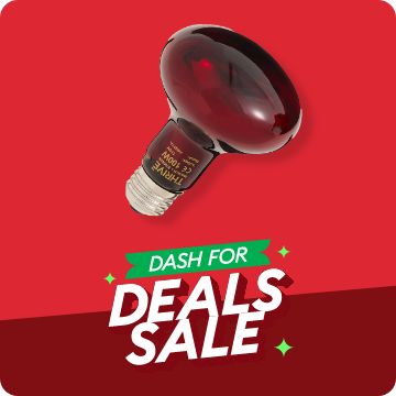 Dash for Deals text; reptile bulb