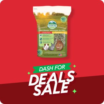 Small Pet Food Hamster Guinea Pig Rabbit Food More PetSmart