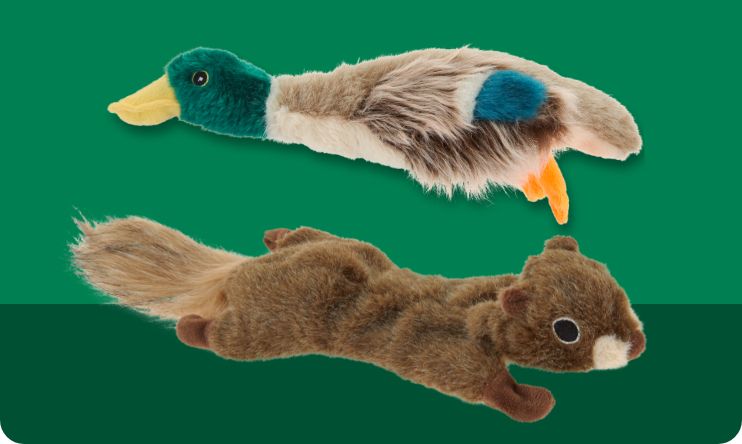 Pet Supplies, Accessories, and Pet Food - Pet Stores | PetSmart