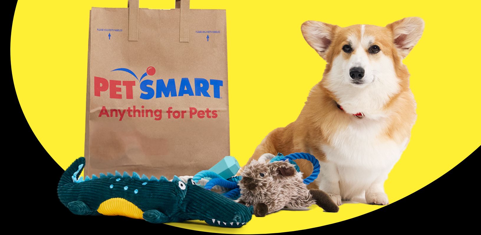 Pet Supplies Accessories and Pet Food Pet Stores PetSmart