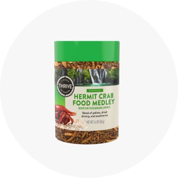 hermit crab food