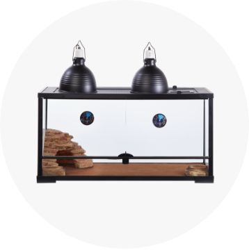 bearded dragon terrarium