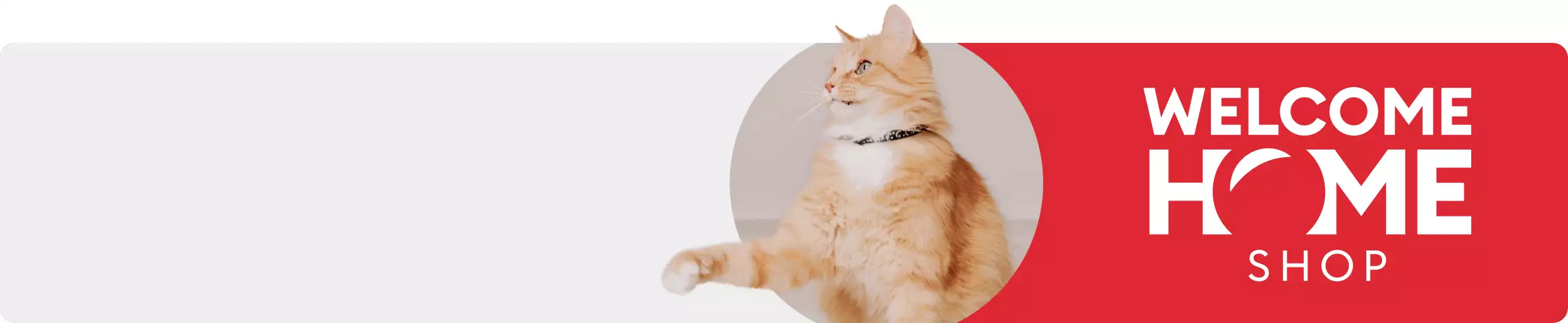 Cat with paw up; Welcome Home Shop 