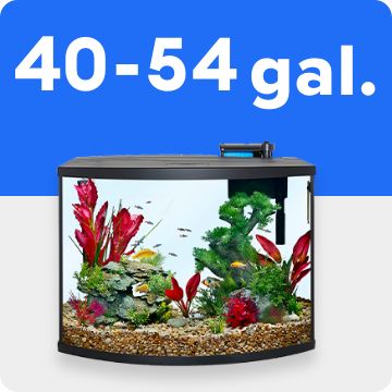 Large aquarium; 40-54 gal. 