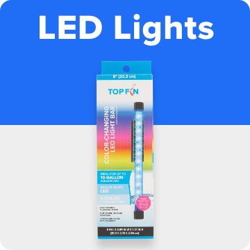 LED Lights