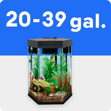 Medium aquarium; 20-39 gal text