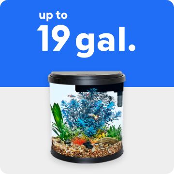 Small aquarium, up to 19 gallons text