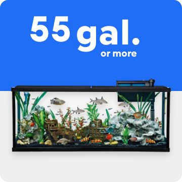 55 gal or more and an image of a fish tank
