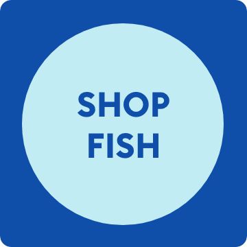 Shop fish text on blue background