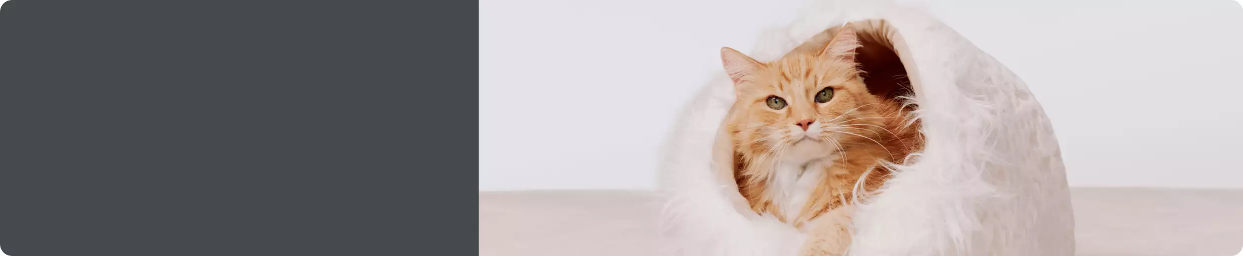 Cat scratchers