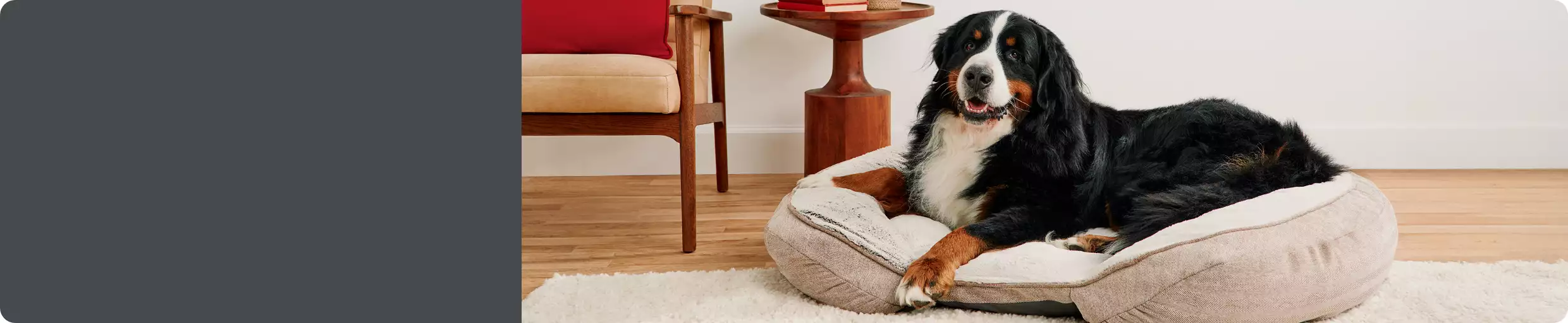 Two cuddler beds & two dogs laying in a cuddler bed together