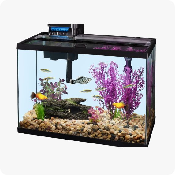 Aquarium tank