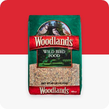 Kaytee wild bird food