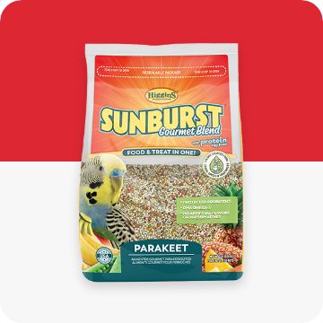 Parakeet bird food