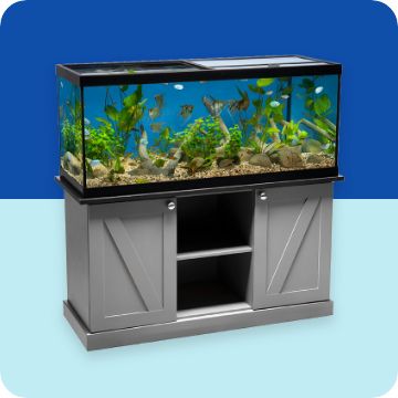 Aquarium and stand