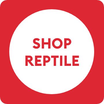 Shop reptile