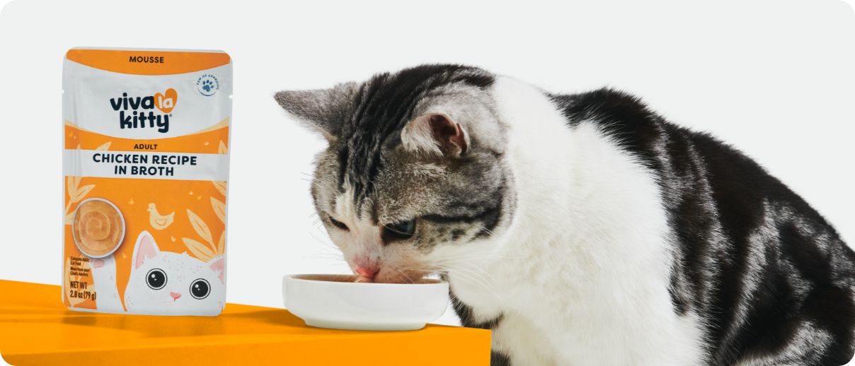 A moggy cat with dark gray & black stripes & white fur, eating from a bowl of wet food with a bag of Viva La Kitty chicken mousse nearby